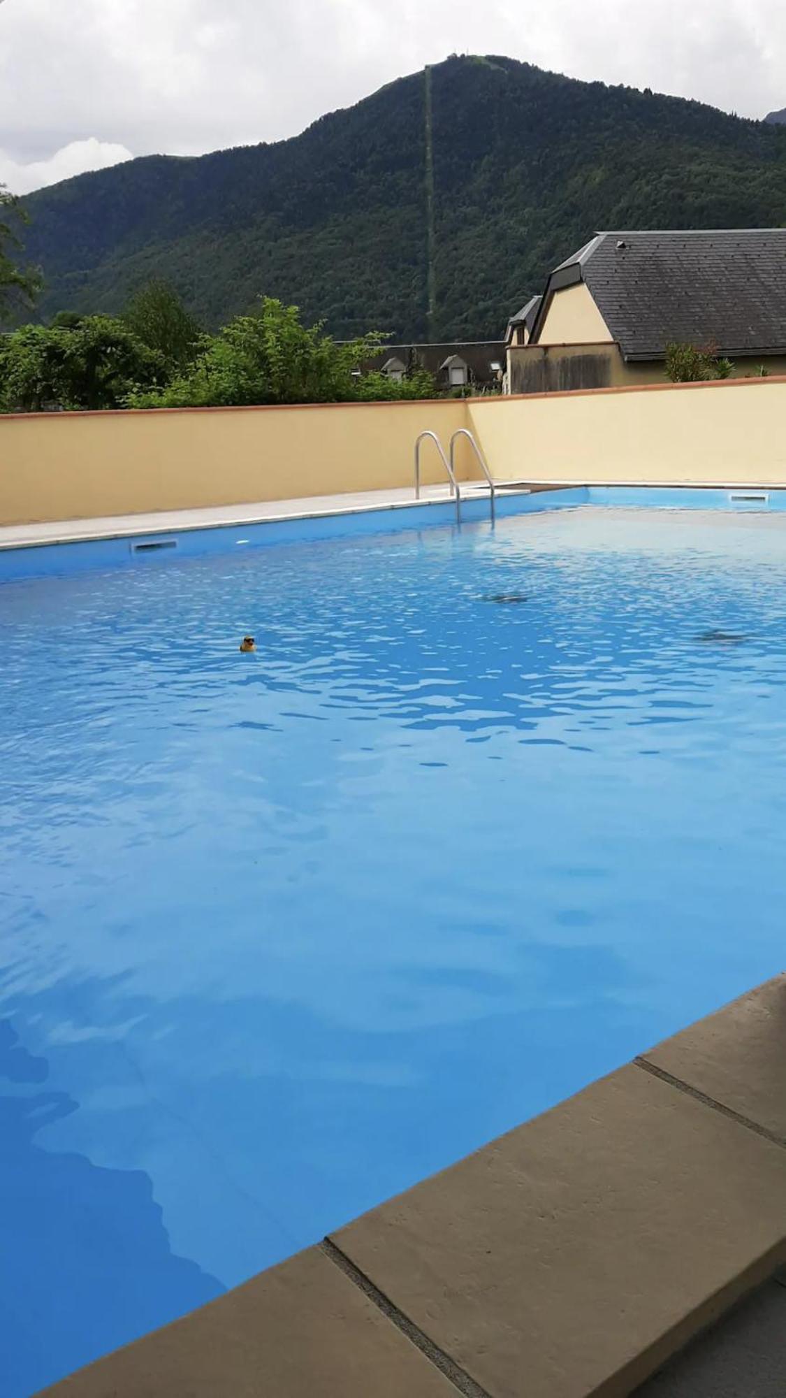 Appart T 3 Bagneres-De-Luchon Vue Montagne - Piscine Mi Juin Kültér fotó